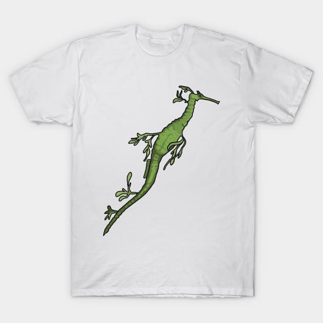 Leafy Sea Dragon T-Shirt by imphavok